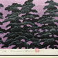 Hajime Namiki "Mt.Fuji 15"