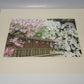 IDO MASAO "Flowers in Kyoto"