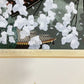 IDO MASAO "first real spring in Japan"