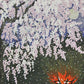 IDO MASAO "bonfire"