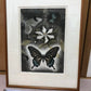 Koichi Sakamoto "butterfly vision"