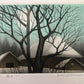 Koichi Sakamoto "hazy moon 1"