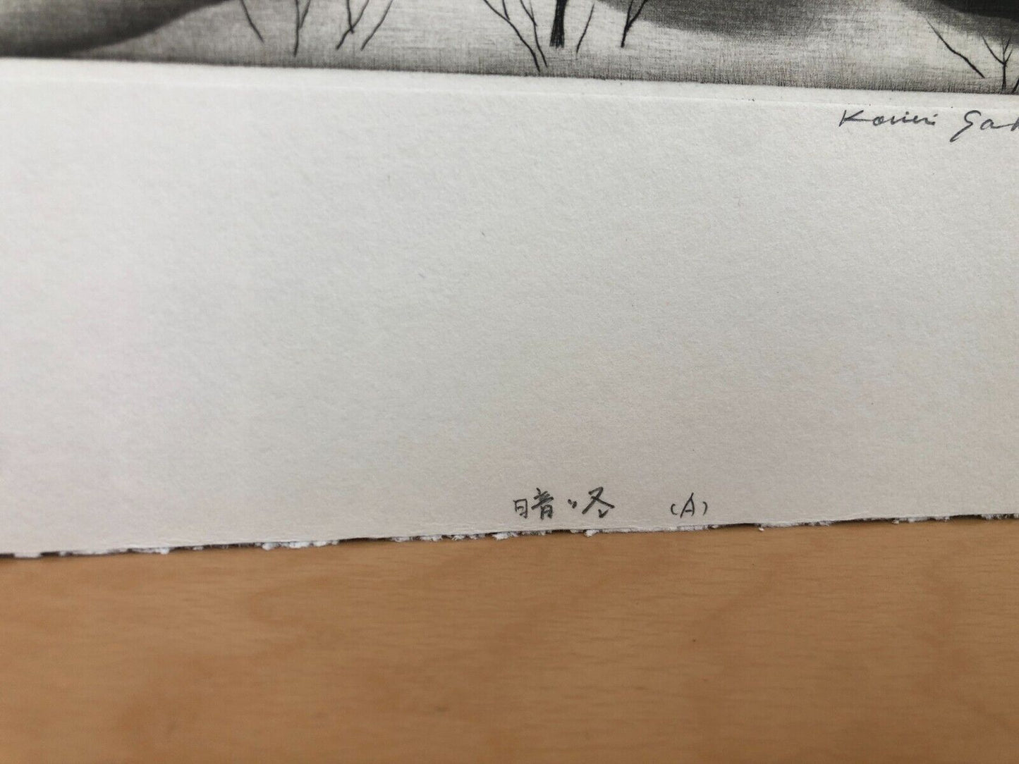 Sakamoto Koichi "dark winter A"