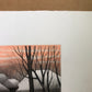 Koichi Sakamoto "distant madder 3"